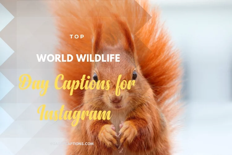 Top Insta Captions for World Wildlife Day