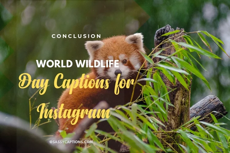 Conclusion for Instagram Captions for World Wildlife Day