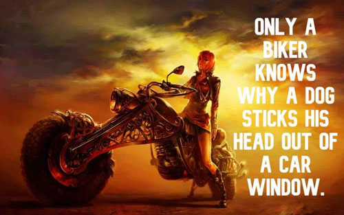 biker attitude quotes